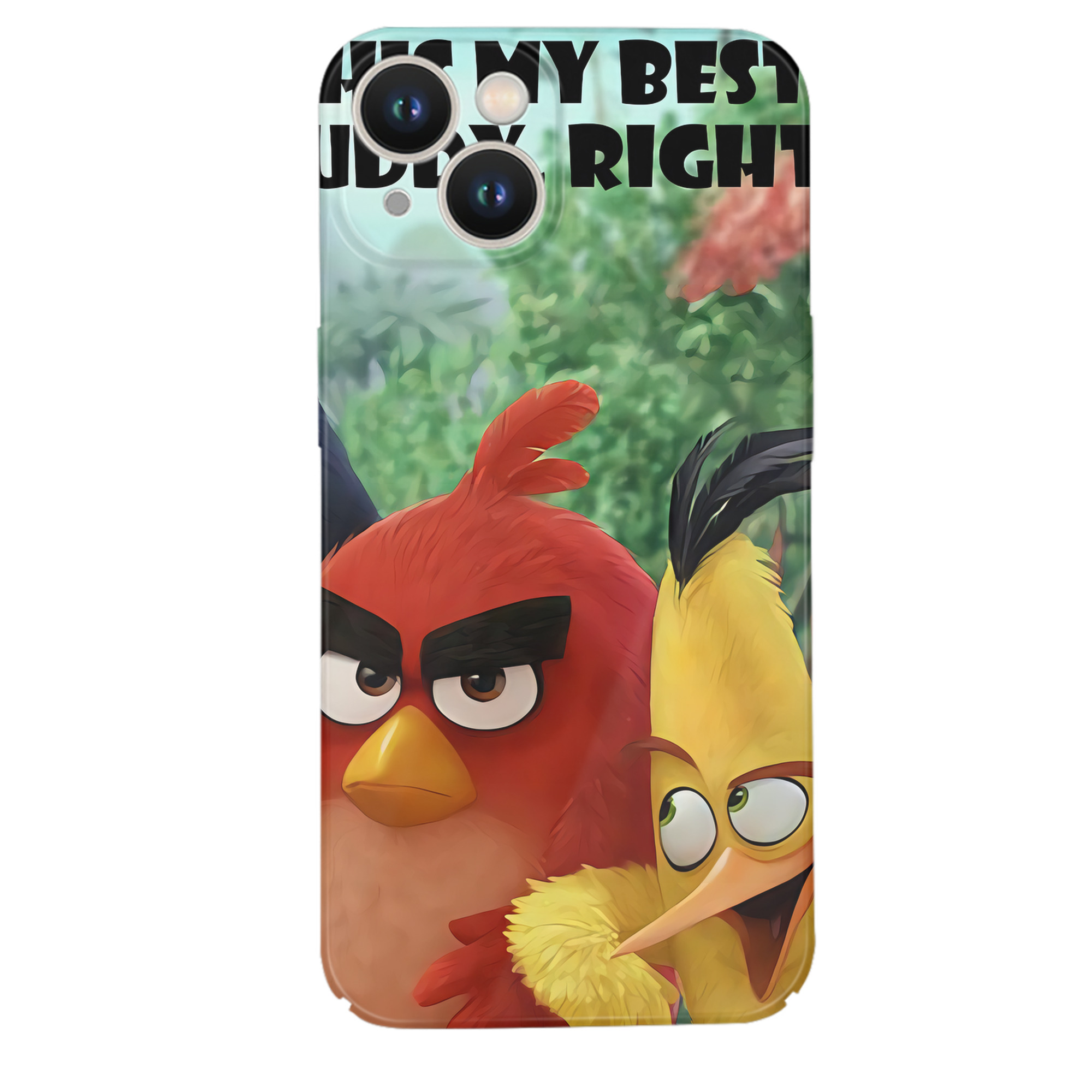（画像用） Angry Birds アングリーバード 【iPhone 14シリーズ対応】ハードケース